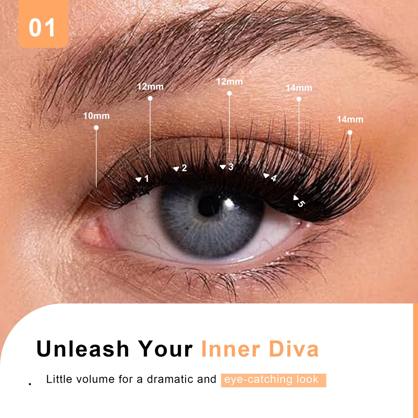 Lash Clusters 144PCS Super Soft Thin Band 10-12-14mm Plus Box(01C-Plus)